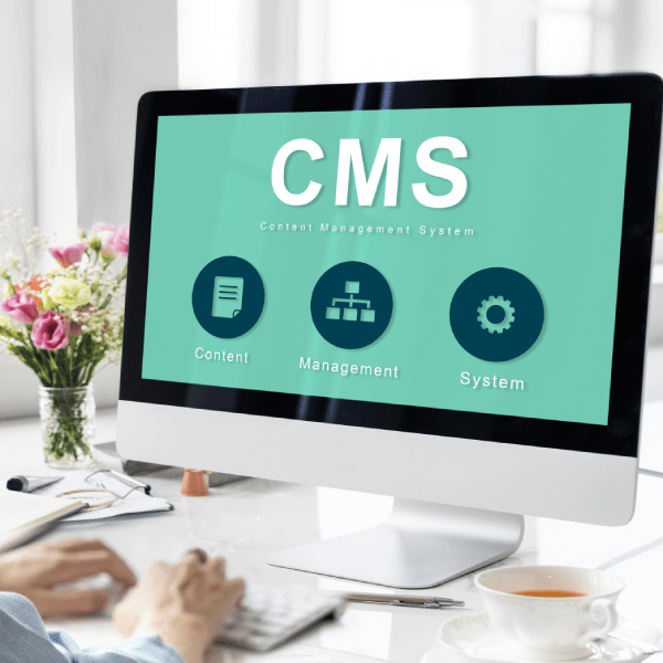 wordpress by vcodetechnologies